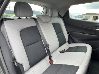 Opel Ampera E 60kWh neuer Akku