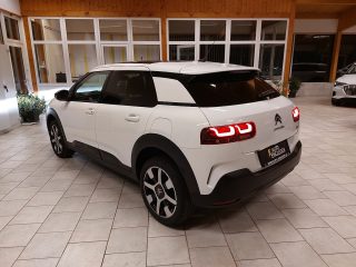 Citroën C4 Cactus PureTech 110 S&S 6-Gang-Manuell Shine